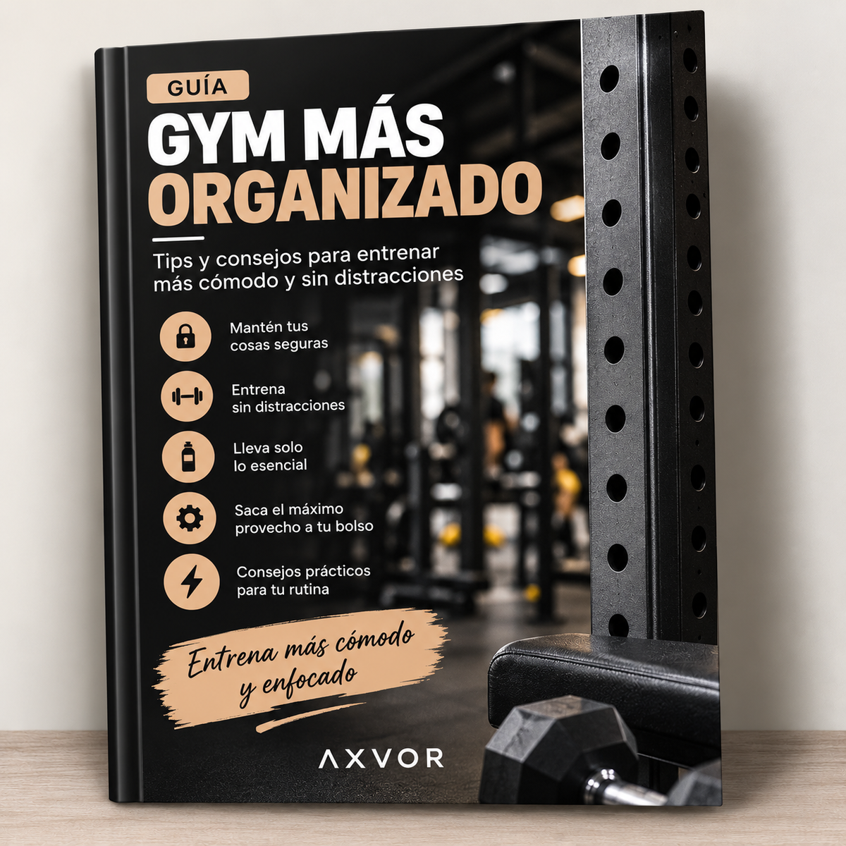 Guía Gym Más Organizado